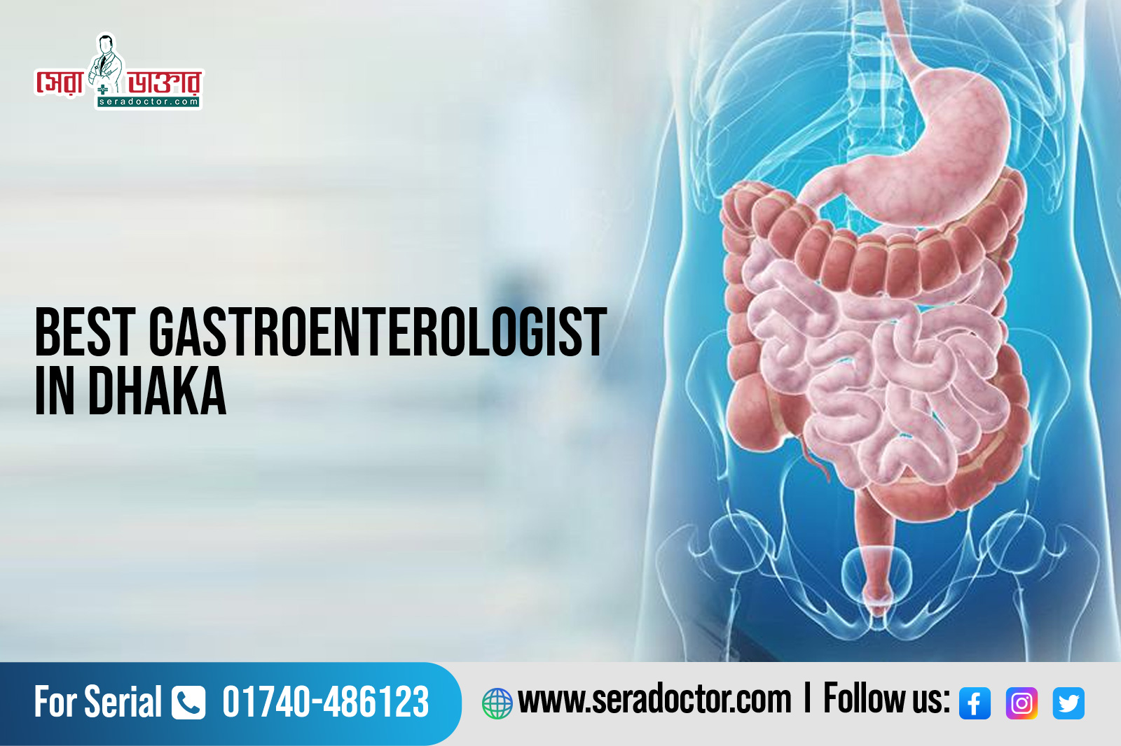 Gastroenterology Specialist Doctors
